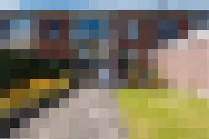 Apollolaan 14 Oude Pekela thumbnail 23
