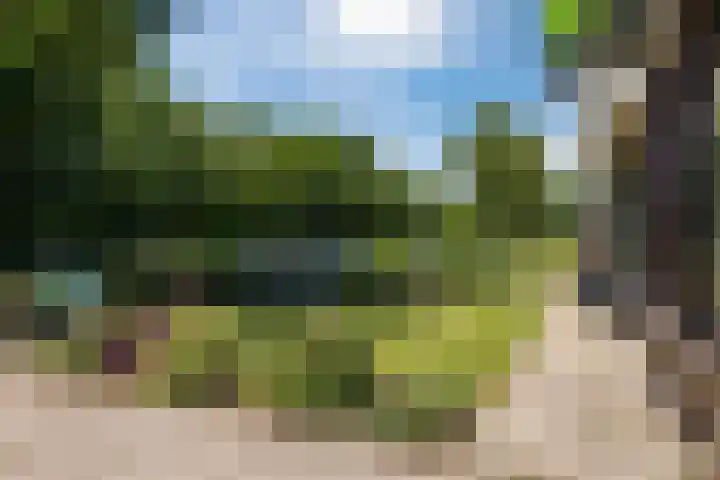 Apollolaan 14 Oude Pekela thumbnail 25