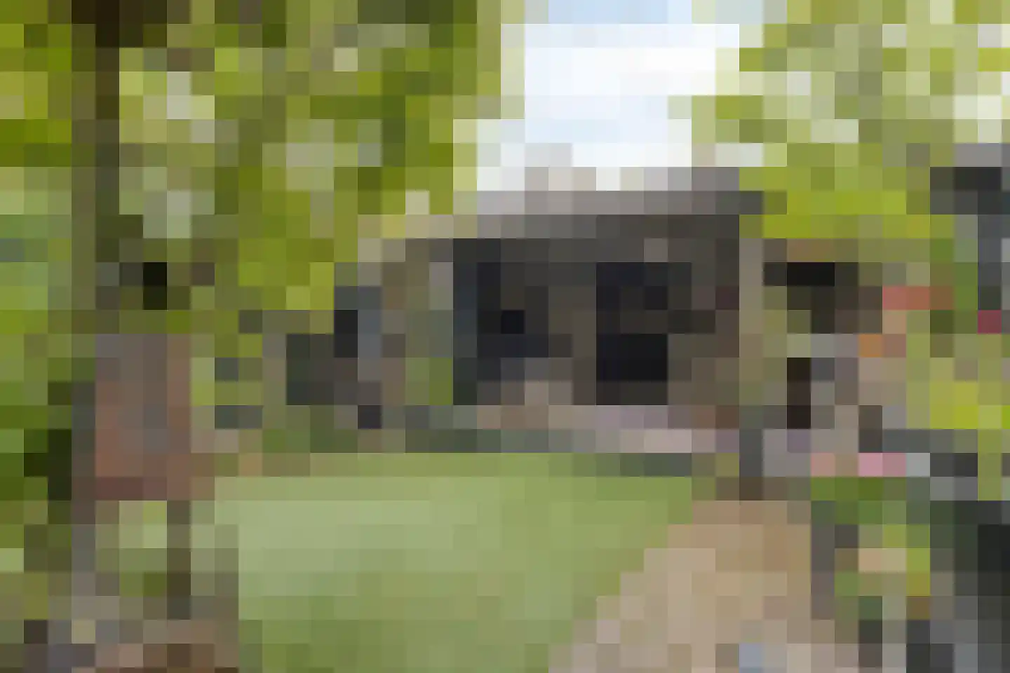 Apollolaan 17 Heerhugowaard thumbnail 40