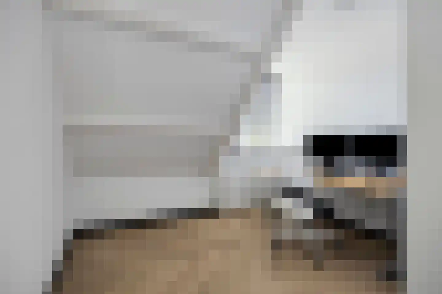 Apollolaan 17 Leiden thumbnail 30