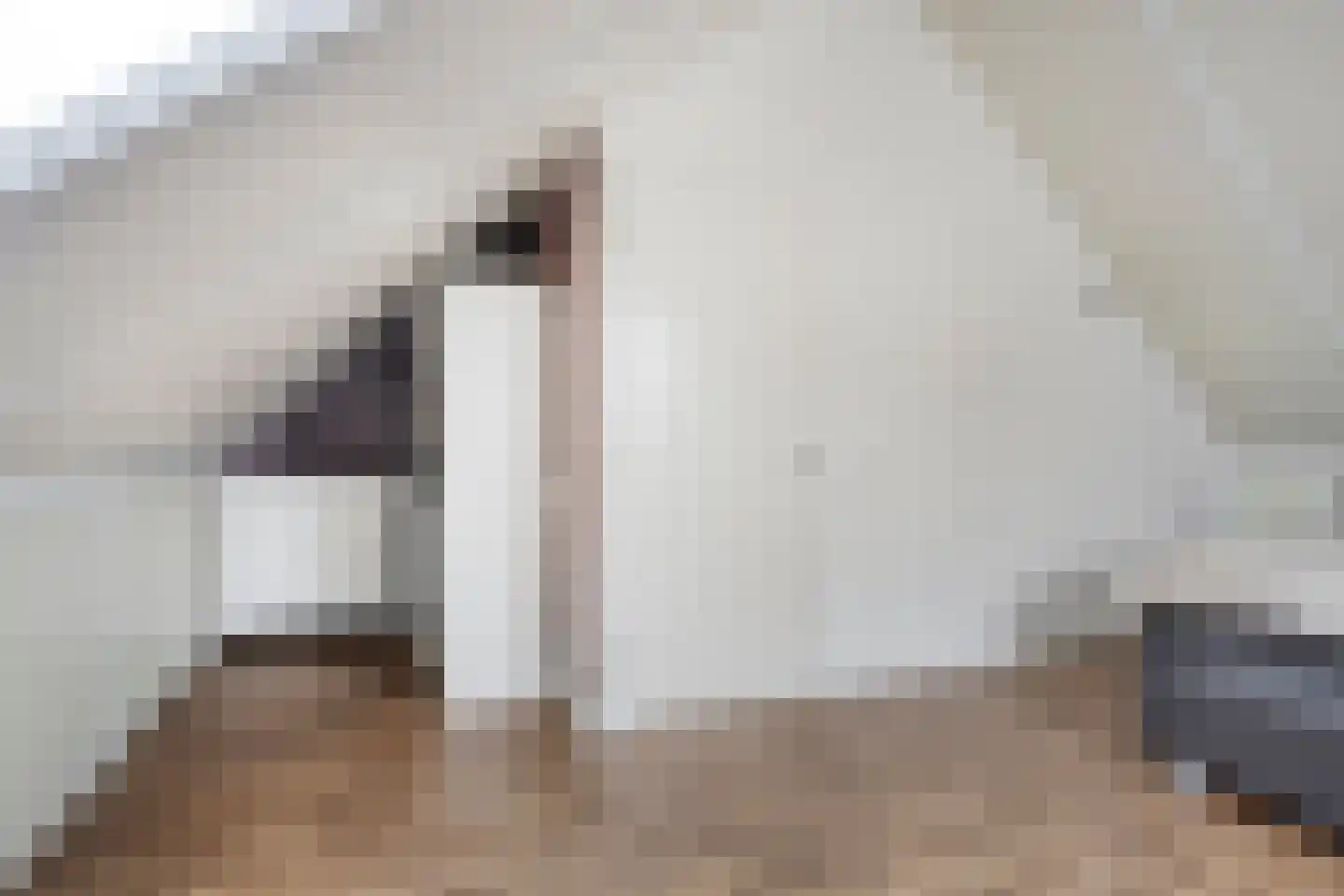 Apollolaan 19 Oostzaan thumbnail 30