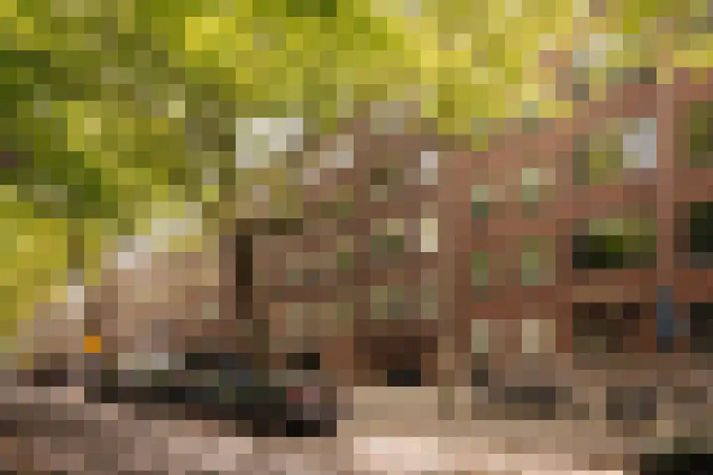 Apollolaan 191 1 Amsterdam thumbnail 5