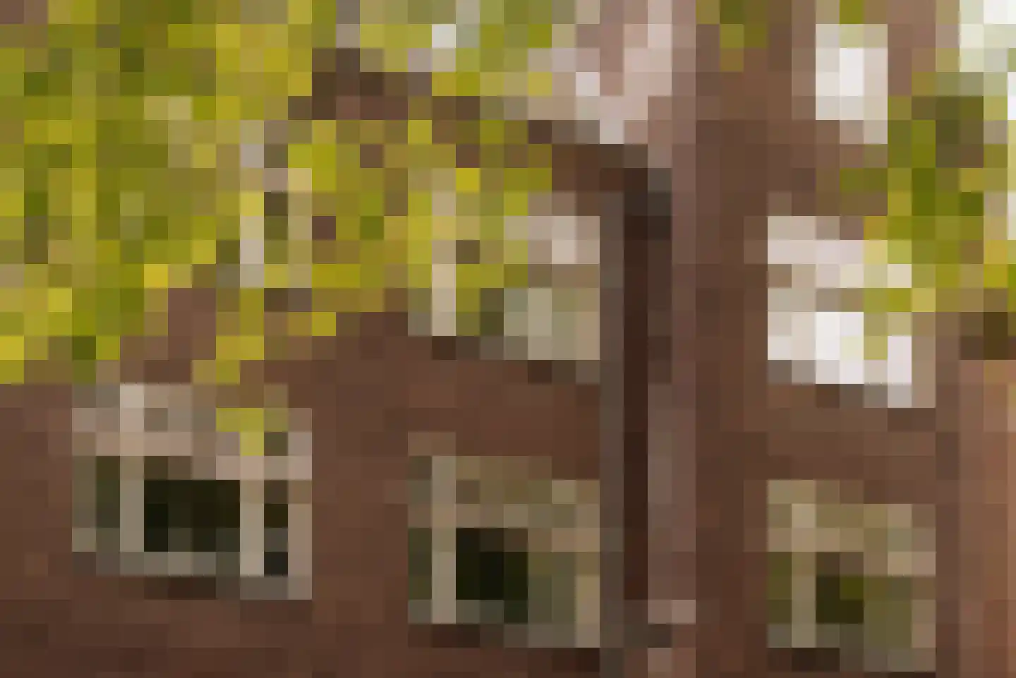 Apollolaan 191 1 Amsterdam thumbnail 6