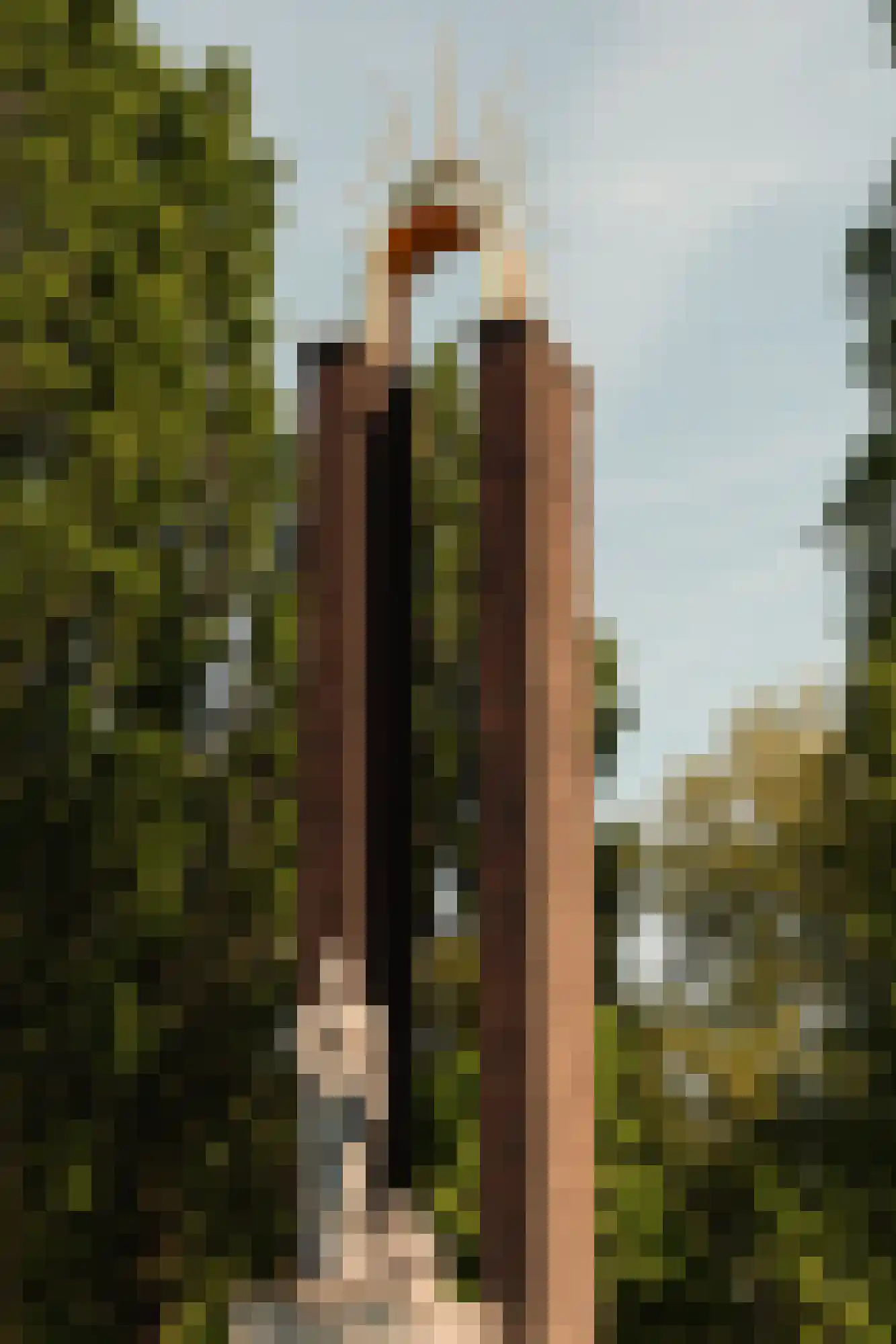 Apollolaan 193 B Amsterdam thumbnail 33