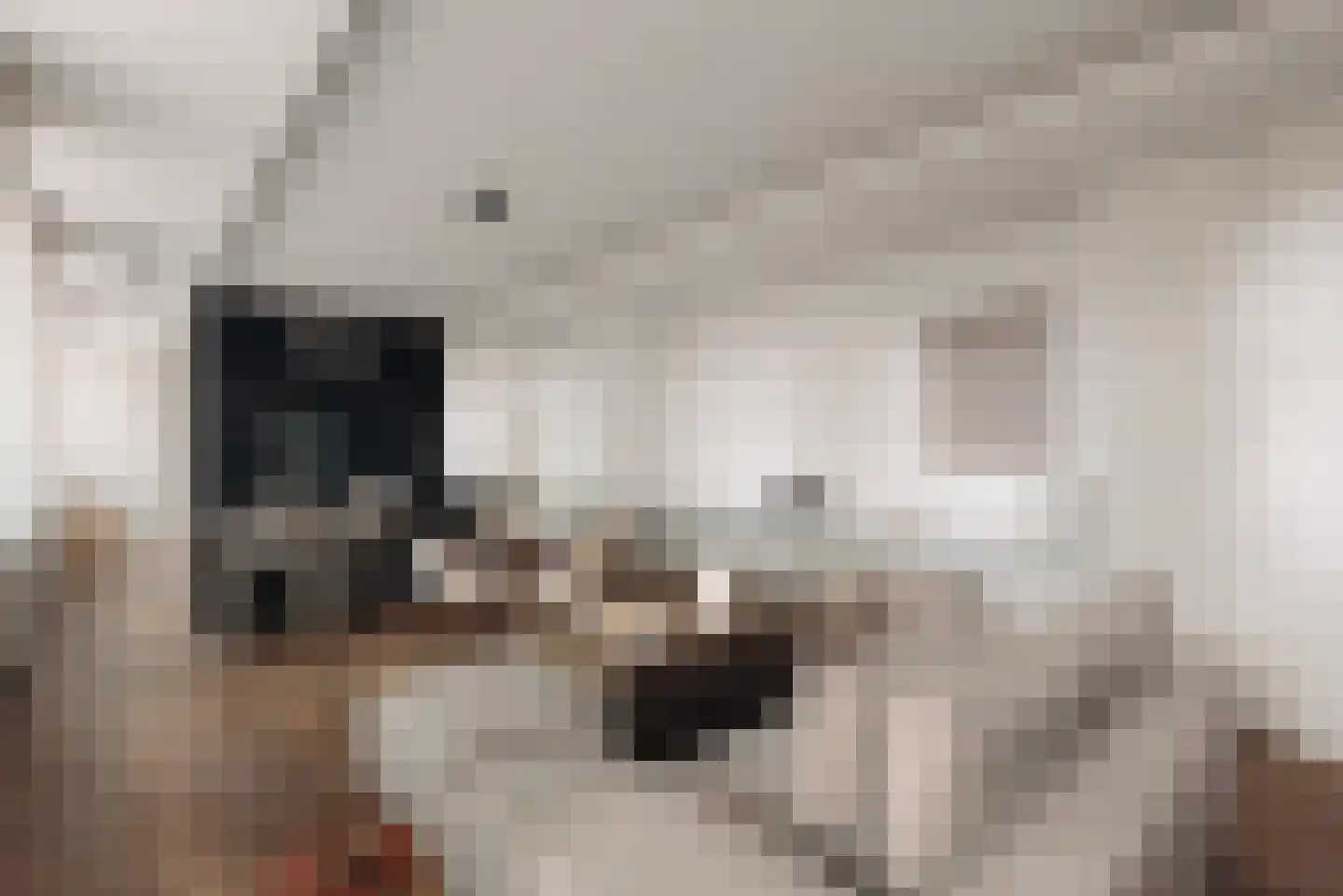Apollolaan 193 B Amsterdam thumbnail 5