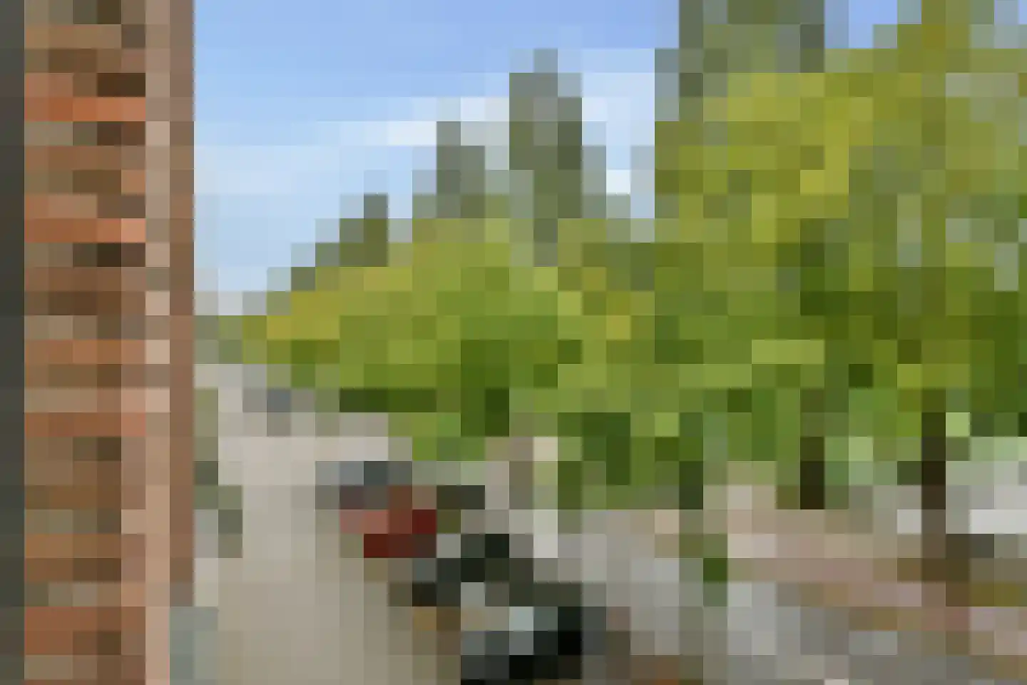 Apollolaan 197 G Amsterdam thumbnail 9