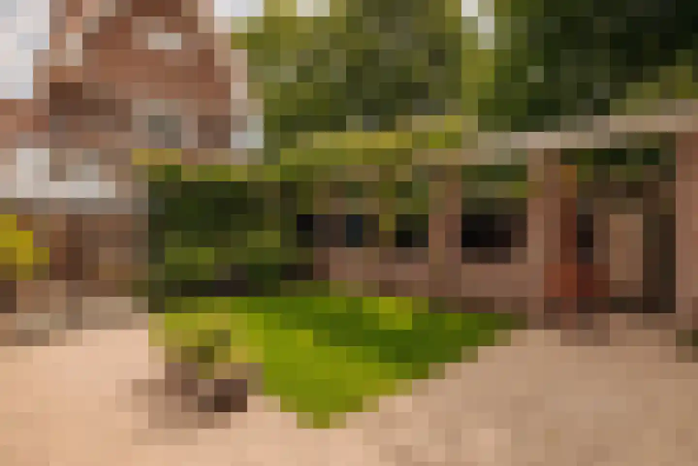 Apollolaan 20 Amsterdam thumbnail 5