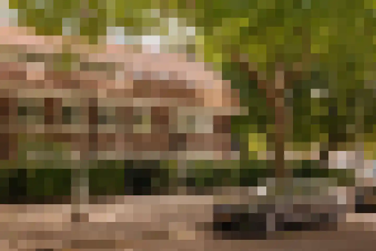 Apollolaan 20 Amsterdam thumbnail 6