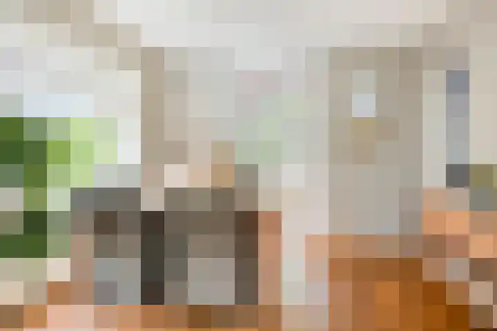 Apollolaan 20 Apeldoorn thumbnail 13