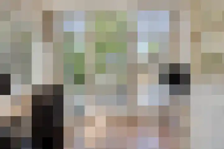 Apollolaan 20 Apeldoorn thumbnail 17