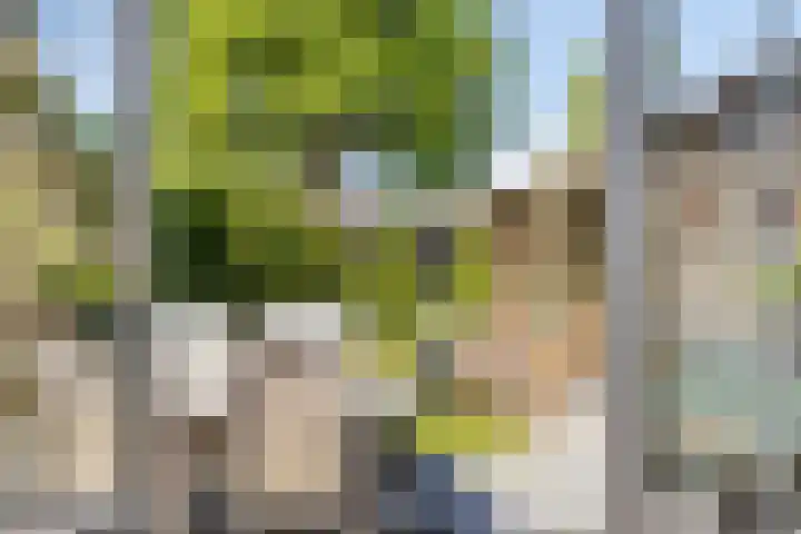 Apollolaan 20 Apeldoorn thumbnail 18