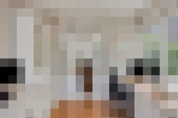 Apollolaan 20 Apeldoorn thumbnail 19