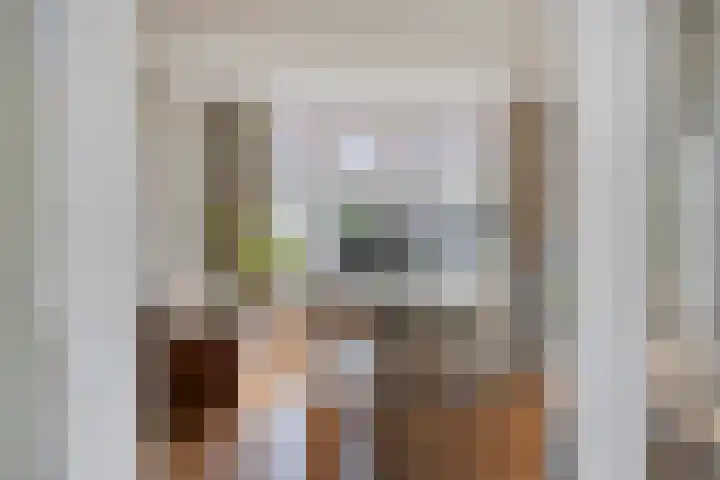 Apollolaan 20 Apeldoorn thumbnail 20