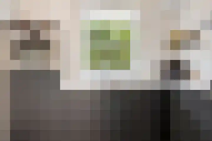 Apollolaan 20 Apeldoorn thumbnail 21