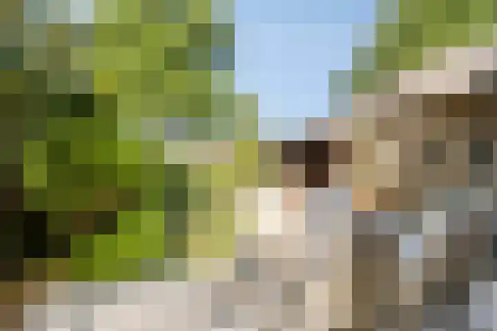 Apollolaan 20 Apeldoorn thumbnail 26