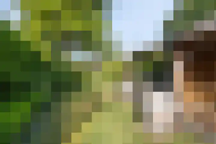 Apollolaan 20 Apeldoorn thumbnail 27