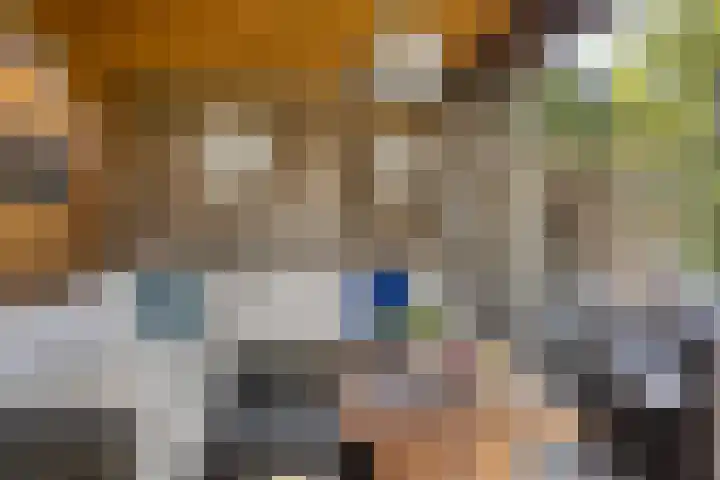 Apollolaan 20 Apeldoorn thumbnail 29