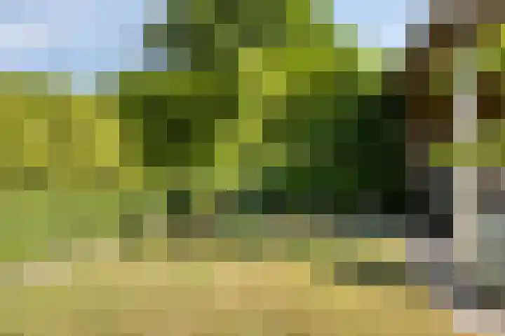 Apollolaan 20 Apeldoorn thumbnail 31
