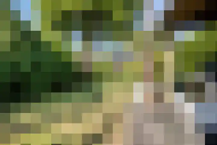Apollolaan 20 Apeldoorn thumbnail 32