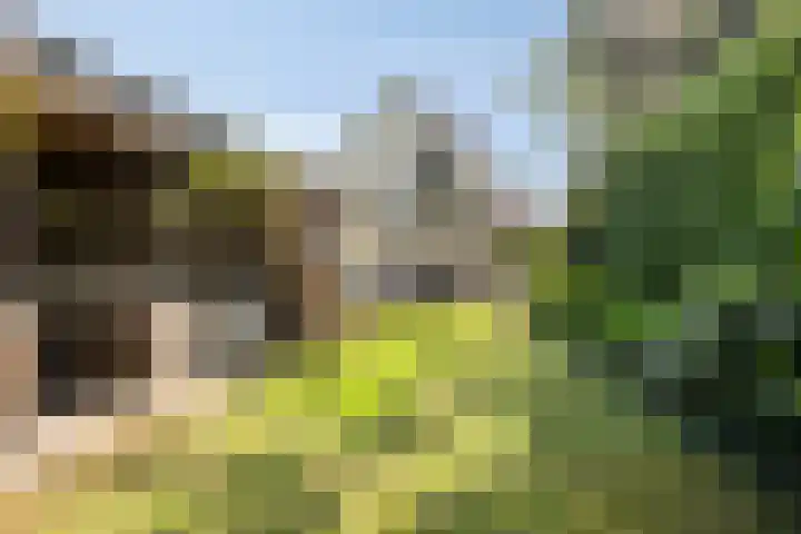 Apollolaan 20 Apeldoorn thumbnail 33