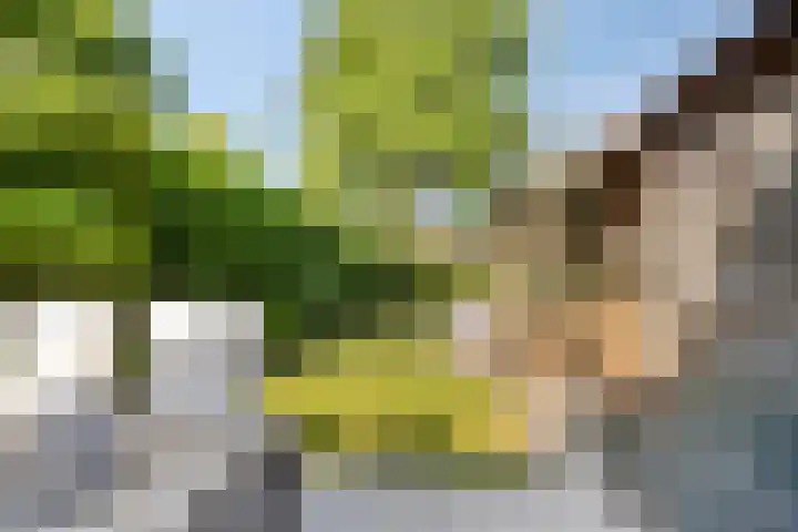 Apollolaan 20 Apeldoorn thumbnail 36