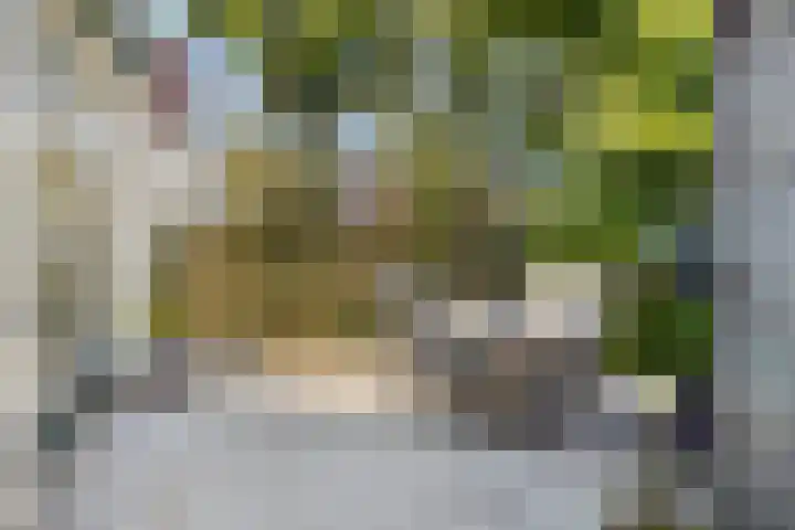 Apollolaan 20 Apeldoorn thumbnail 37