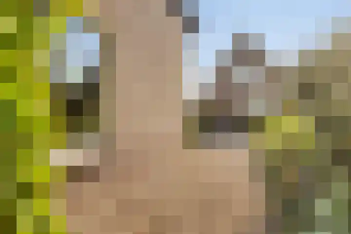 Apollolaan 20 Apeldoorn thumbnail 38