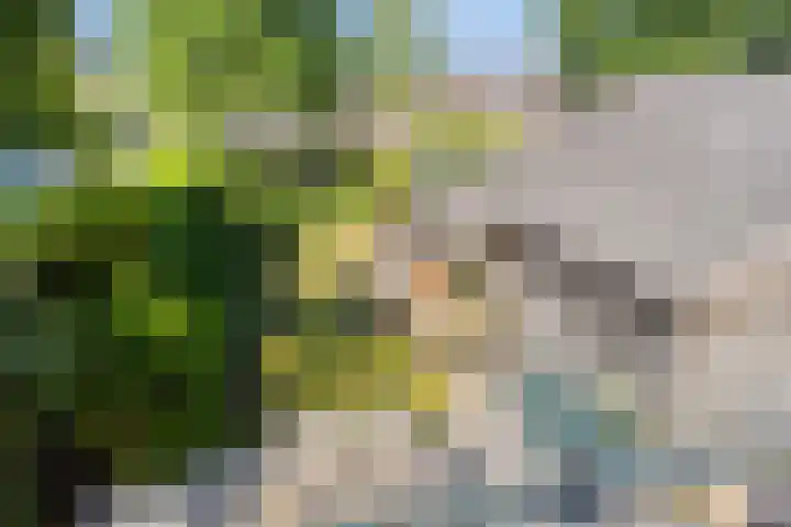 Apollolaan 20 Apeldoorn thumbnail 46