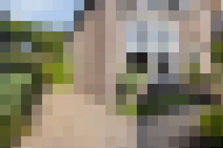 Apollolaan 20 Apeldoorn thumbnail 7