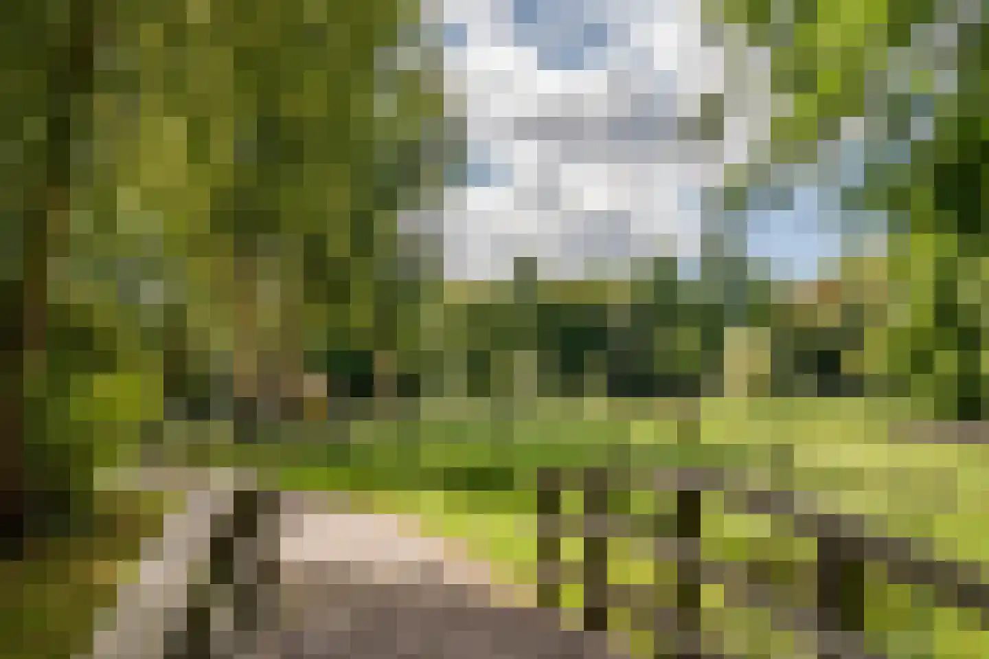 Apollolaan 206 Leiden thumbnail 33