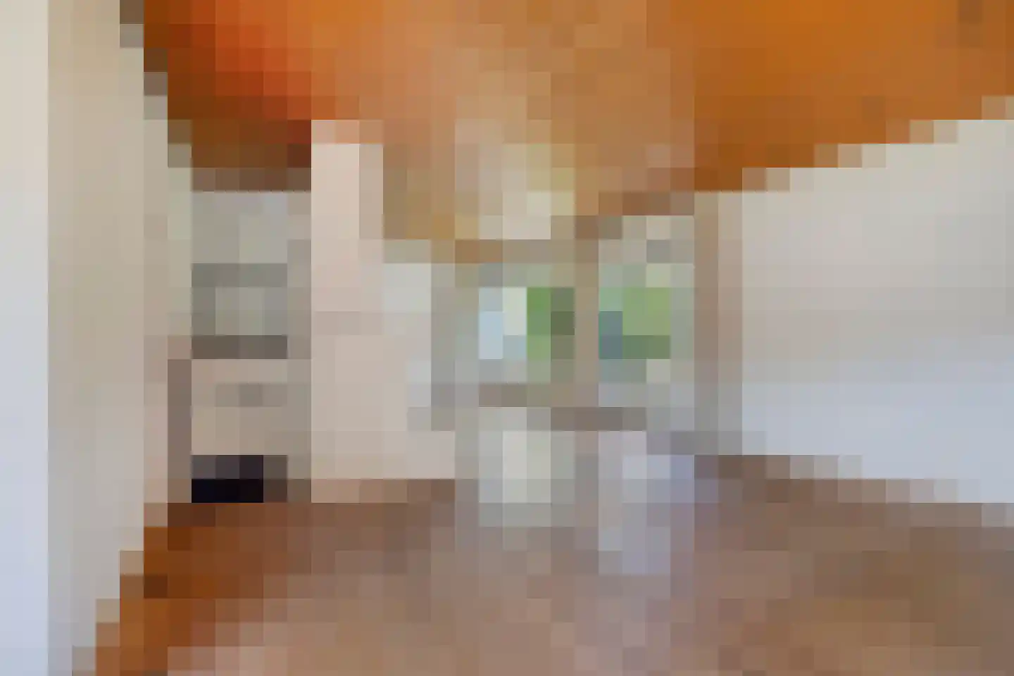 Apollolaan 21 Melick thumbnail 11