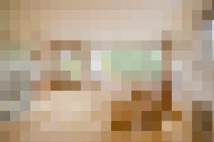 Apollolaan 212 Leiden thumbnail 17