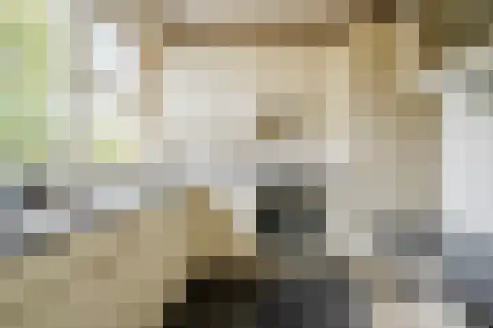 Apollolaan 212 Leiden thumbnail 30