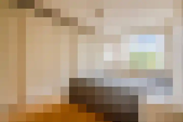 Apollolaan 212 Leiden thumbnail 33