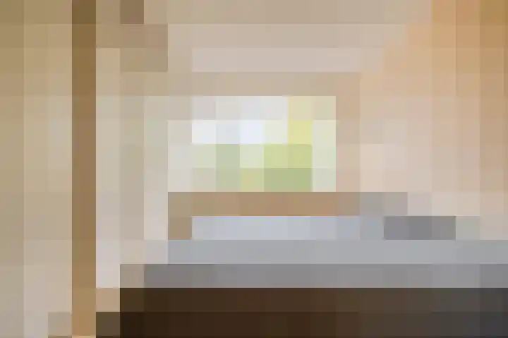 Apollolaan 212 Leiden thumbnail 34
