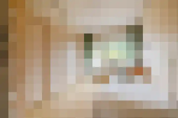 Apollolaan 212 Leiden thumbnail 36