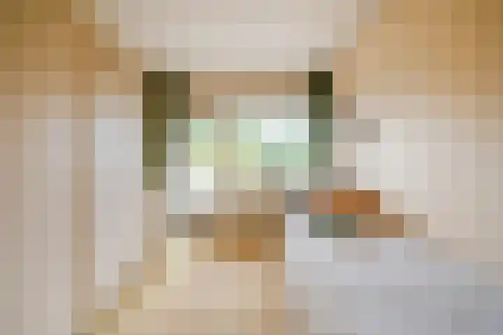 Apollolaan 212 Leiden thumbnail 37