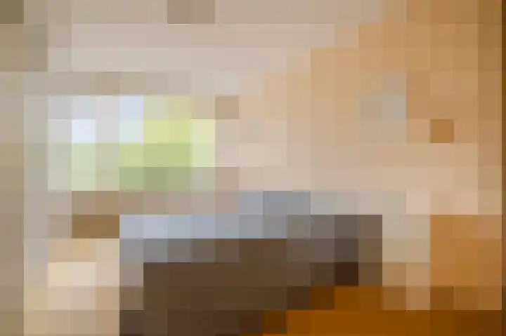 Apollolaan 212 Leiden thumbnail 4