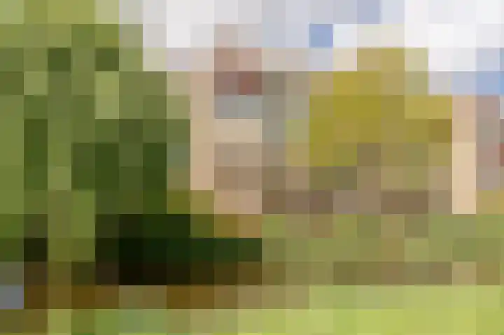 Apollolaan 212 Leiden thumbnail 41