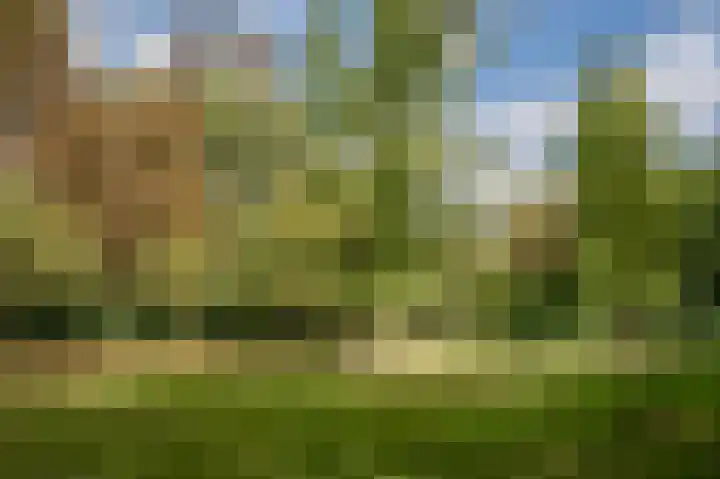 Apollolaan 212 Leiden thumbnail 42