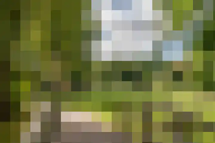 Apollolaan 212 Leiden thumbnail 43