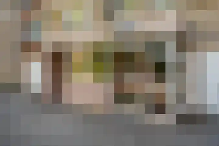 Apollolaan 212 Leiden thumbnail 9