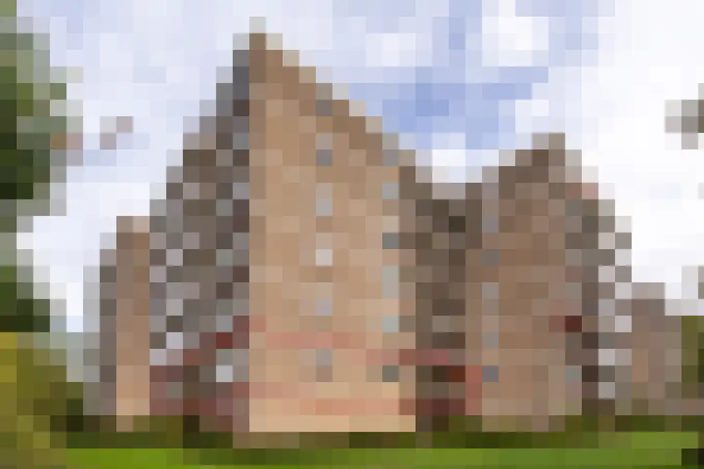 Apollolaan 218 Leiden foto 2