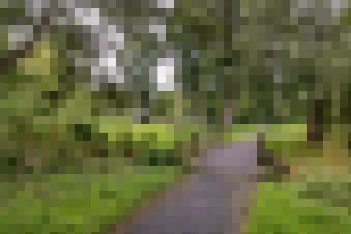 Apollolaan 218 Leiden thumbnail 25