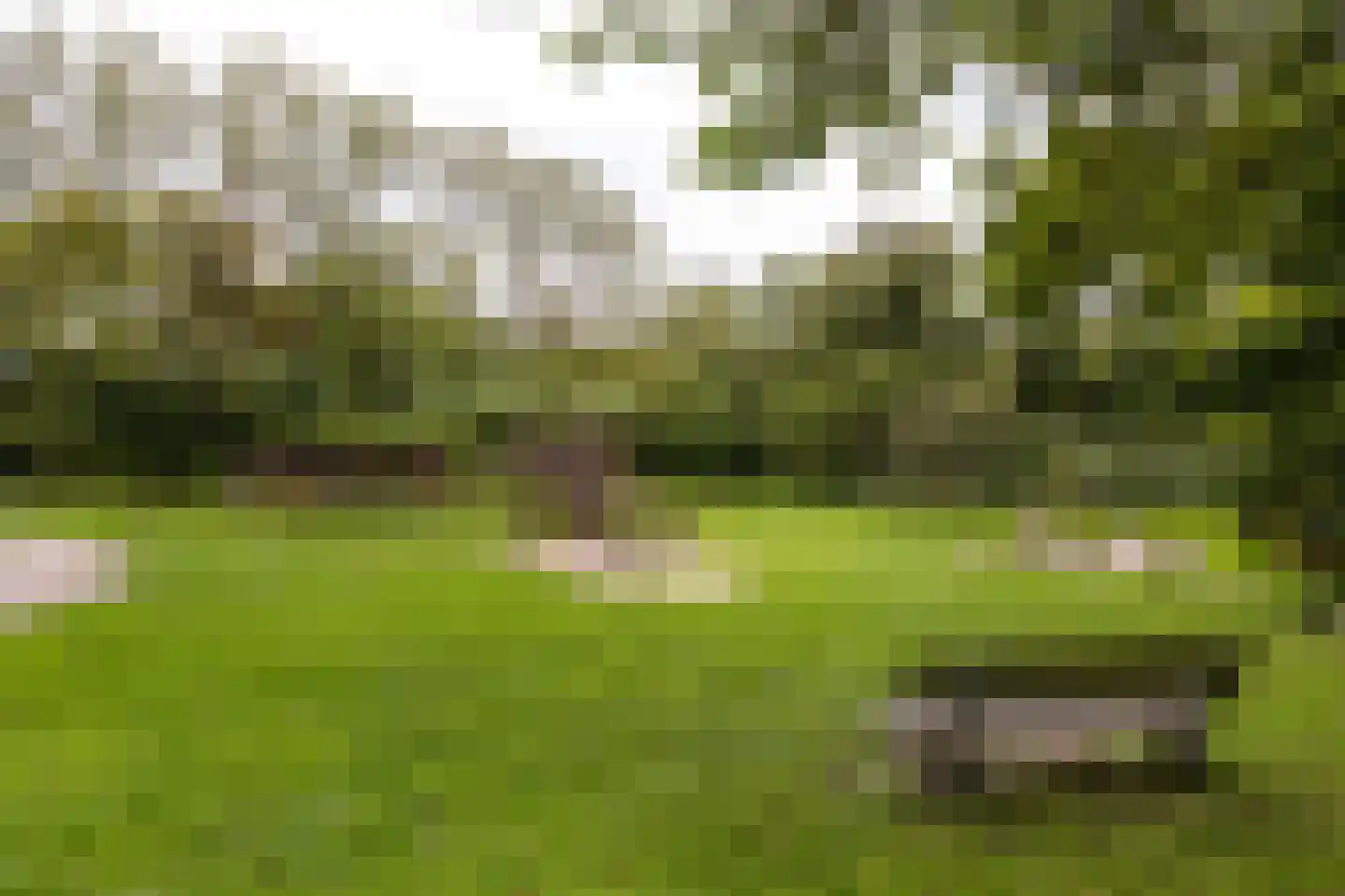 Apollolaan 218 Leiden thumbnail 26