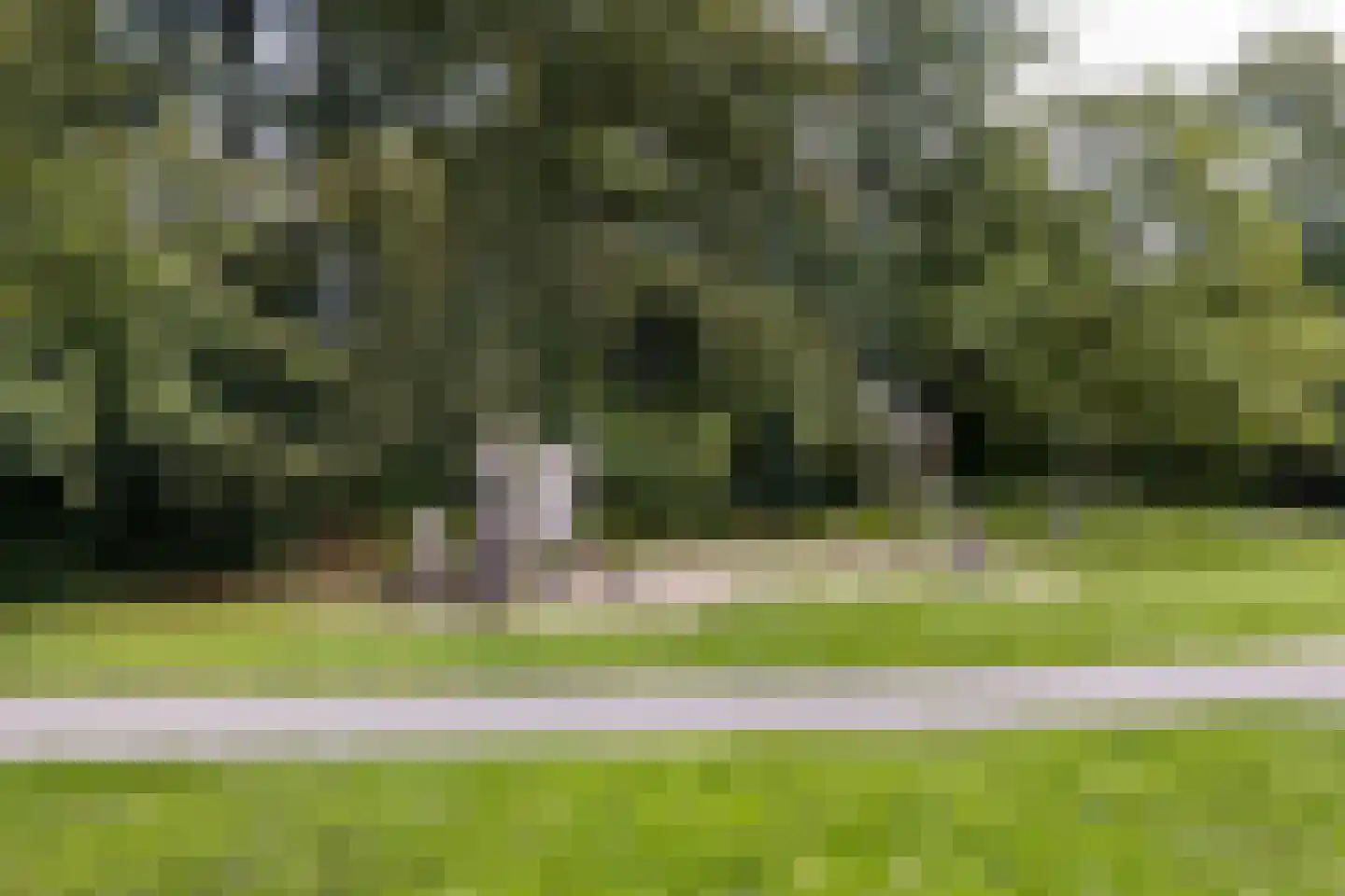Apollolaan 218 Leiden thumbnail 27