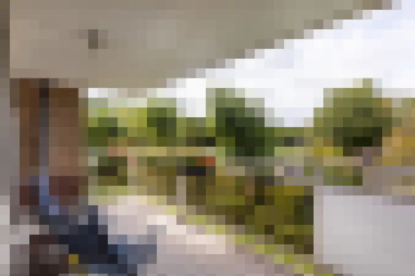 Apollolaan 218 Leiden thumbnail 4
