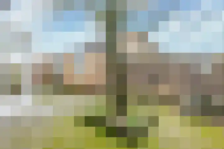 Apollolaan 23 Landgraaf thumbnail 21