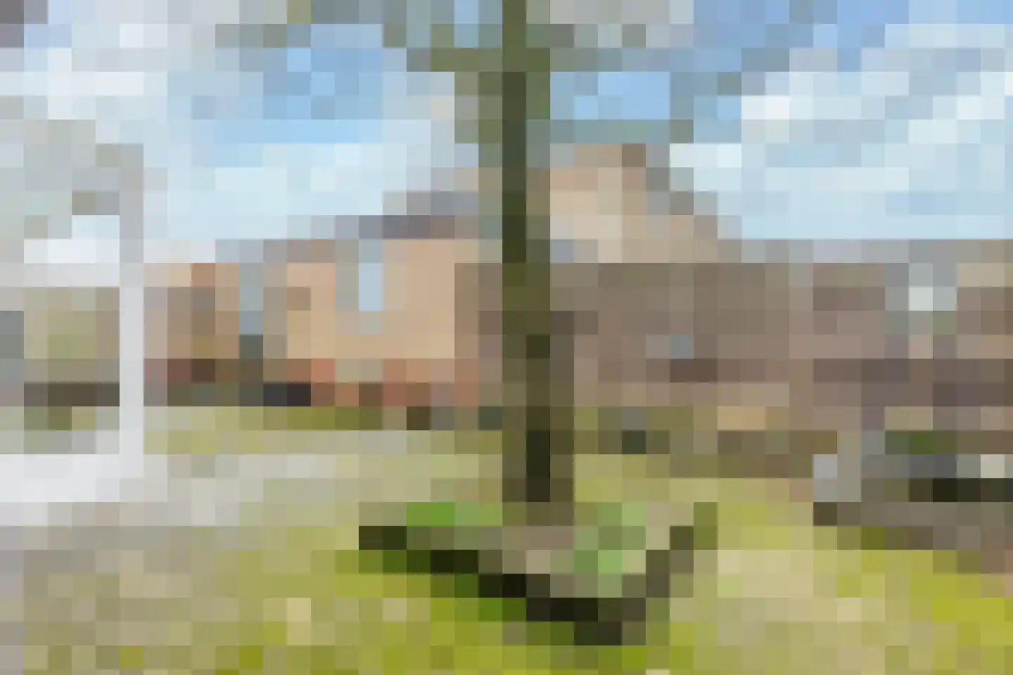 Apollolaan 23 Landgraaf thumbnail 21