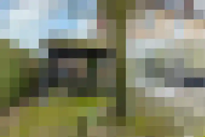 Apollolaan 23 Landgraaf thumbnail 22